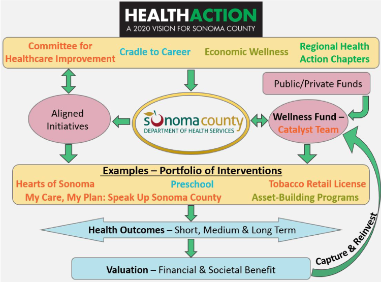 Flowchart showing the relationship between the various Health Action committees and projects.